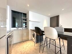 Skysuites@Anson (D2), Apartment #468797691